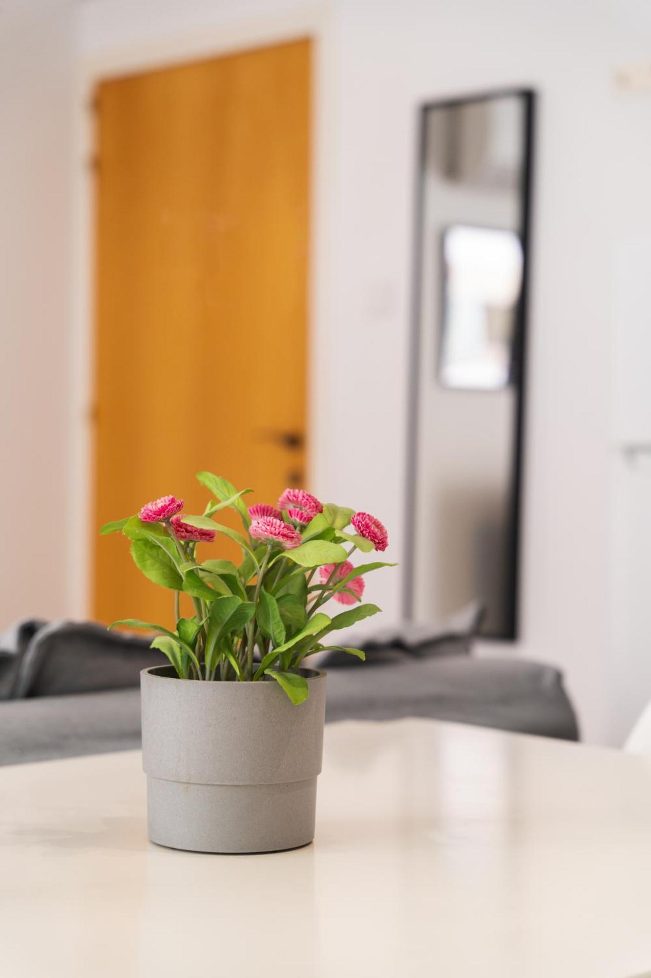 Appartement Kave Blue Mackenzie 1 Bdr Flat With Pool à Larnaca Extérieur photo